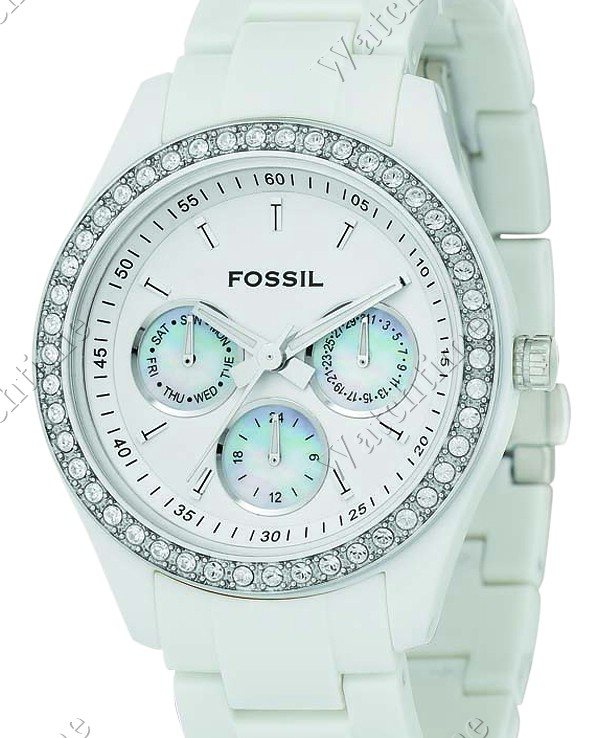 Fossil