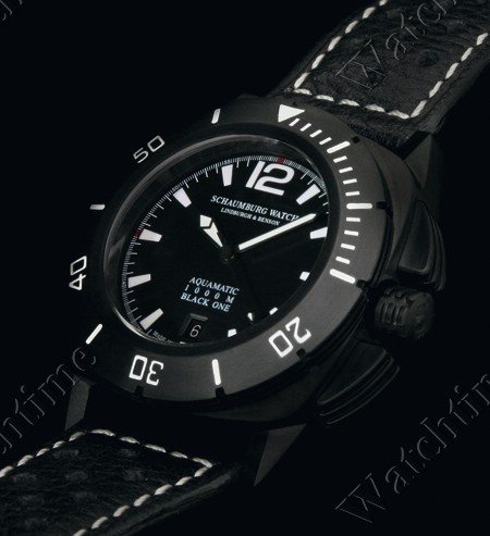 Schaumburg Watch